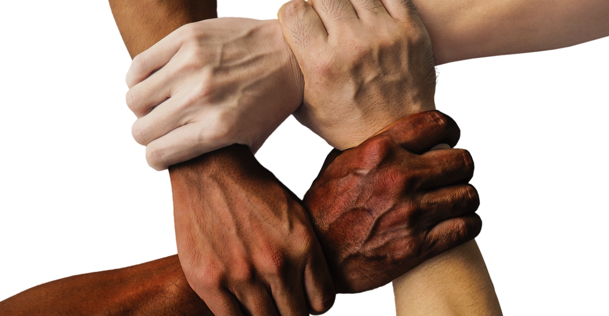 hands team united together people unity teamwork group hand in hand union support friendship cooperation community holding connection harmony diversity cut out hands hands hands hands team team team team team together together people people people people unity teamwork teamwork group support support friendship friendship community community community community connection diversity diversity diversity diversity