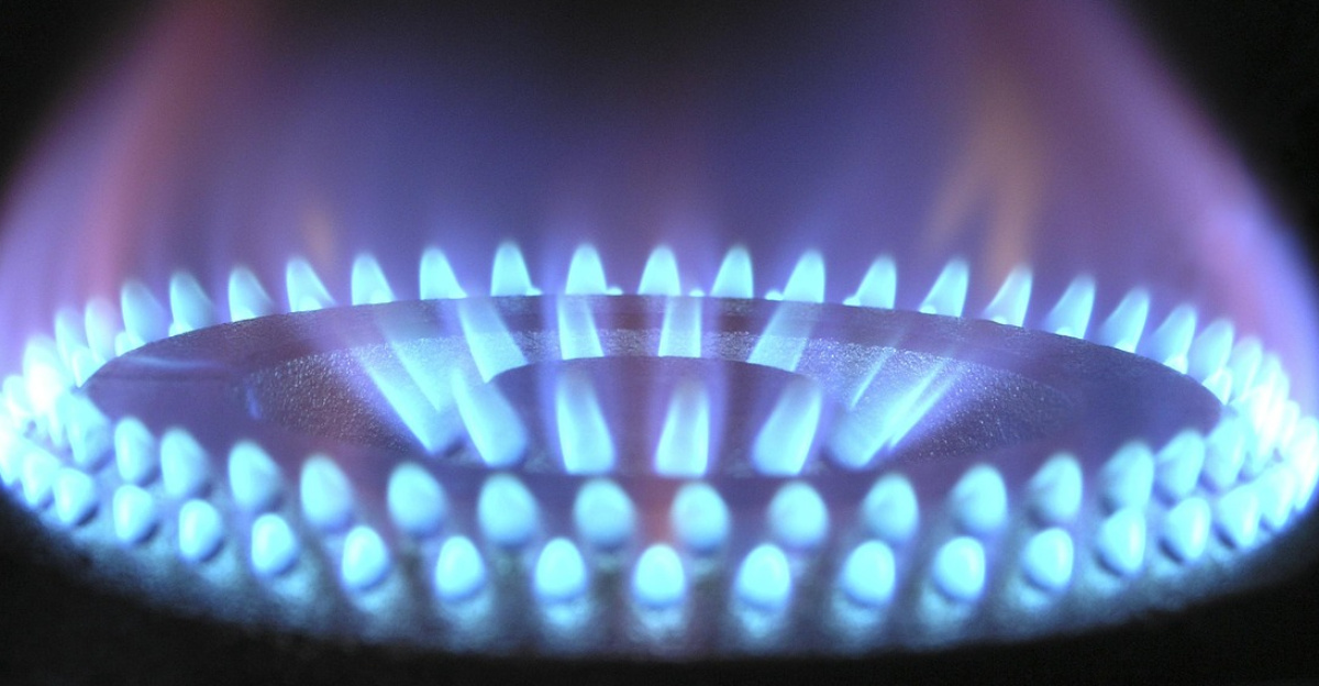 flame, gas, gas flame, blue, hot, ring, burner, danger, fire, propane, kitchen, cook, cooking, burning, butane, energy, heat, power, stove, warm, oven, domestic, fossil fuel, gas, gas, gas, gas, gas