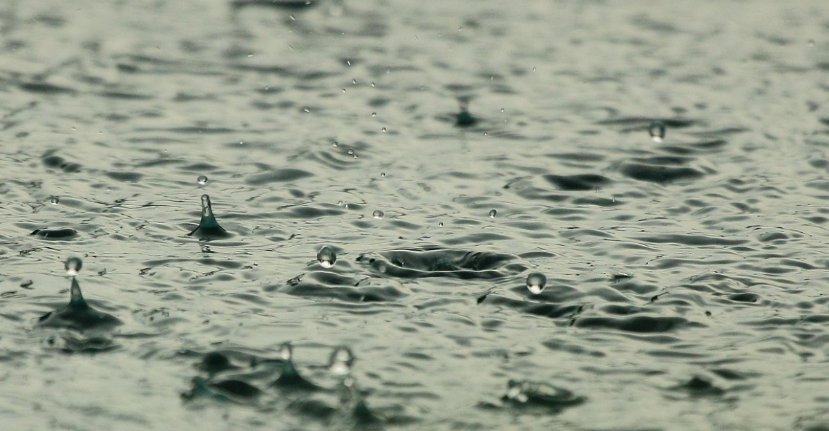 water, raindrops, raining, wet, liquid, splashing, nature, drops, rain, rainfall, water droplets, aqua