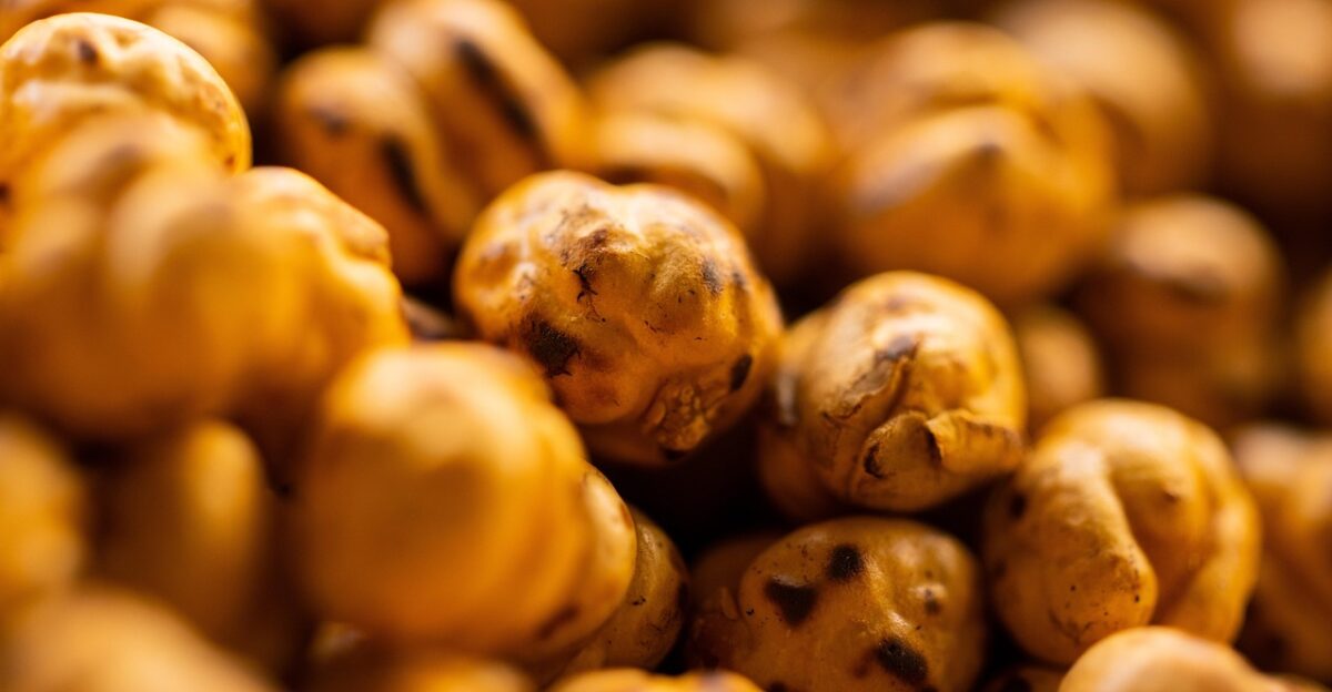 roasted chickpea chickpeas roasted nuts food healthy market diet vitamin fresh raw nutrition snack protein vegan vegetarian roasted chickpea roasted chickpea roasted chickpea chickpeas chickpeas chickpeas chickpeas chickpeas