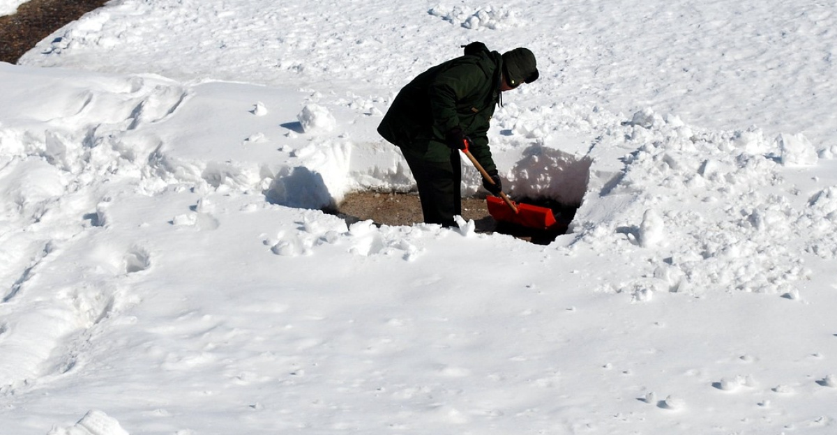 shoveling, man, snow, work, male, tool, equipment, winter, season, weather, freezing, cold, snowfall, backyard, frost, outdoor, scene, nature, frosty, ice, outdoors, snowflake