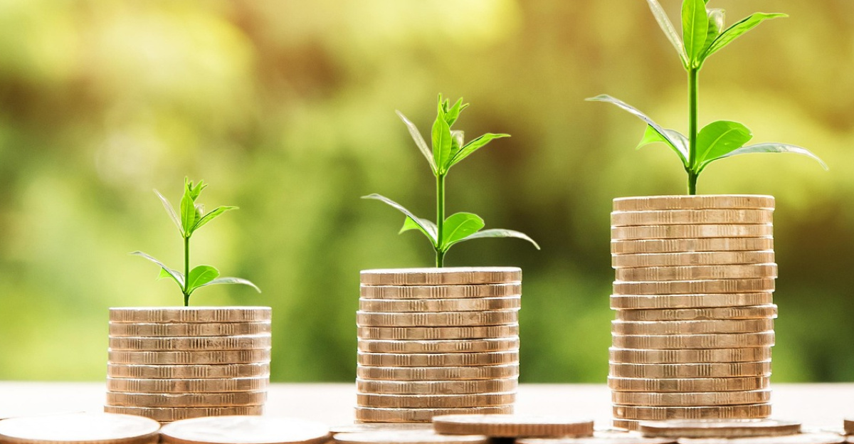 money, profit, finance, business, return, yield, financial, cash, currency, investment, banking, wealth, coin, economy, success, loan, salary, rich, credit, payment, savings, save, deposit, growth, income