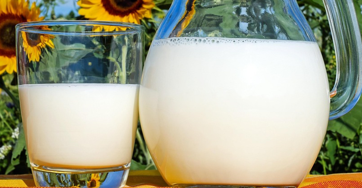 milk, glass, pitcher, fresh, fresh milk, drink, beverage, dairy, dairy products, glass pitcher, healthy, delicious, vitamins, liquid, cow's milk, protein, nutrition, milk, milk, milk, milk, milk