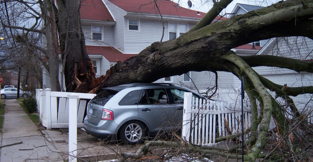storm damage hurricane wind disaster insurance destruction house tornado tree hurricane hurricane hurricane hurricane disaster insurance insurance insurance tornado tornado tornado tornado tornado