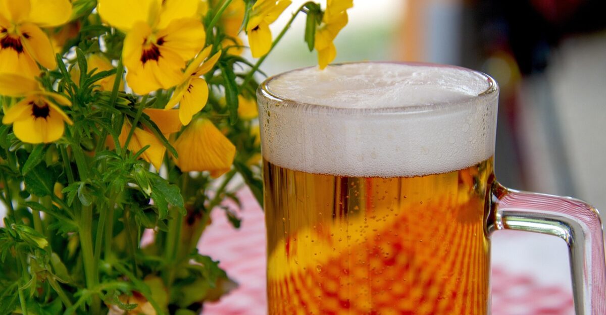 beer glass drink beer garden refreshment thirst alcoholic thirst quencher prost head to celebrate oktoberfest bavaria bavarian beer beer beer beer beer oktoberfest