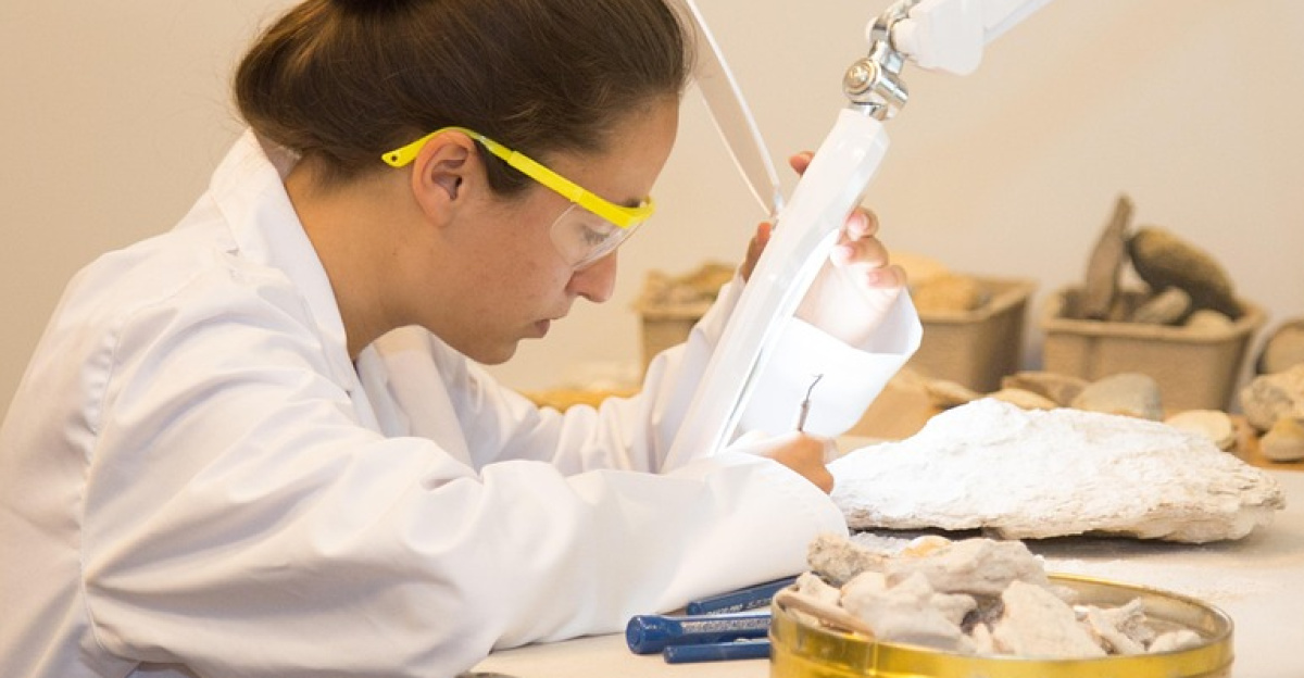 table, inside, adult, woman, indoors, room, work, biology, education, medicine, research, biotechnology, microscope, scientific, anatomy, body, medical, human, health, science, section, structure, system, anatomical, educational, organ, microbiology, fossil, paleontology, scientist, light, microscopic, biological, cell, laboratory, bacteria, microorganism, small, life, nature, macro, brown education, brown medical, brown science, brown research, brown medicine, brown laboratory, biotechnology, biotechnology, biotechnology, biotechnology, microscope, microbiology, scientist, scientist, scientist, scientist, scientist, laboratory, microorganism, microorganism, microorganism