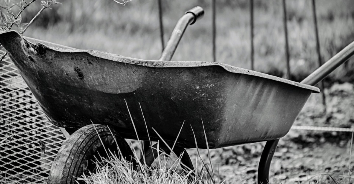 wheelbarrow, work, gardening, damn, garden, equipment, construction site, working device, transport, gardener, tools, cart, wheelbarrows, clean up, wheel, nature, farmer, green cut, agriculture, tool, dung, plant, construction work