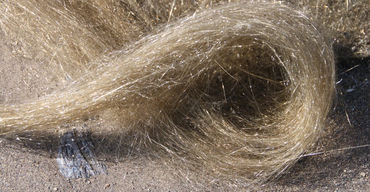 Pele s Hair - Hawai i Volcanoes National Park U S National Park