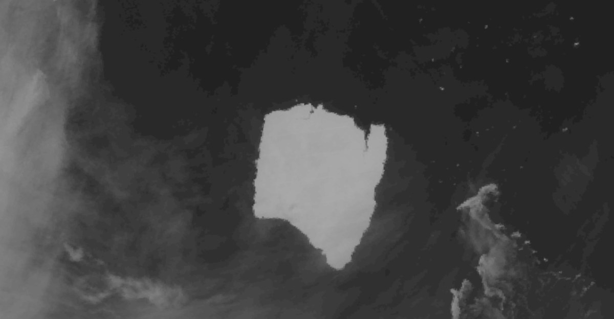 The world’s largest iceberg, A23a, runs aground in shallow waters off the remote island of South Georgia.