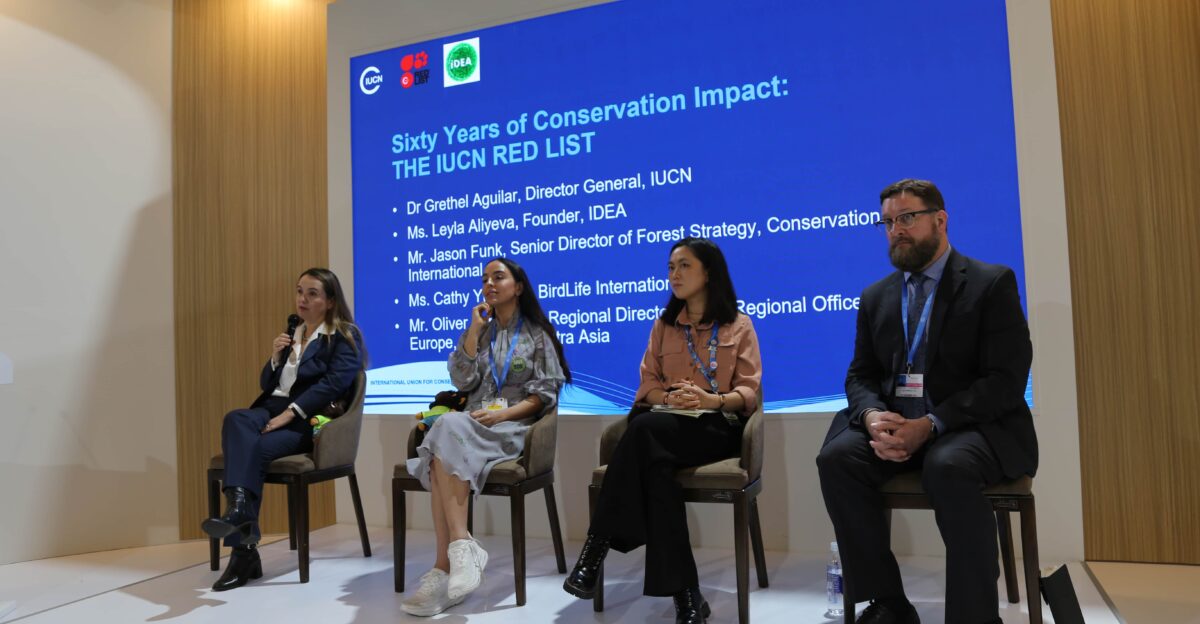 Celebrating 60 years of the IUCN Red List at COP29 - News IUCN