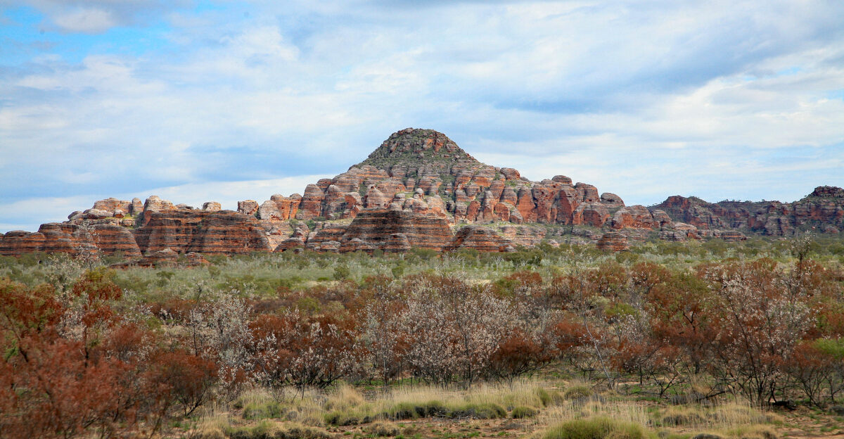 Landscape in the Kimberley region a heavily eroded rock formation of sand and pebbles Bungle Bungle Range Kimberley is a region in Western Australia and covers an area of approximately 424 500 square kilometers the size of Austria and Germany