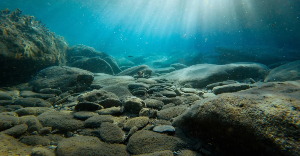 Marine Geology - EGDI