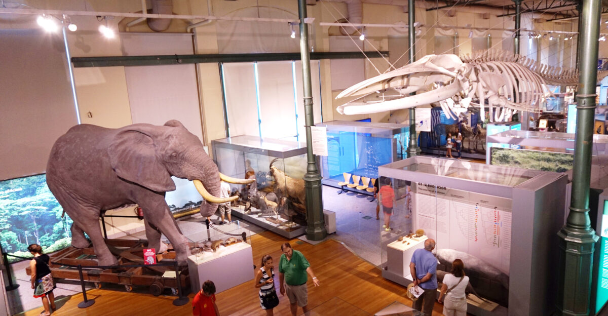 National Museum of Natural Sciences of Spain