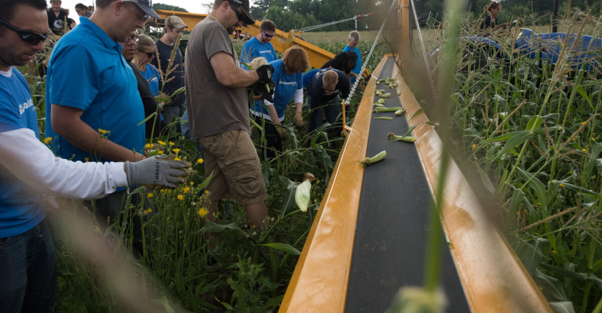 U S Secretary of Agriculture Sonny Perdue tours the Hunger Task Force Farm vegetable farm which administers USDA commodity programs and services area food pantries and food banks in and around Franklin WI on Aug 3 2017 According to the Hunger Task Force Farm the Farm grows fresh fruits and vegetables for the express purpose of feeding the hungry creating a reliable source of healthy food for our network Every pound of produce is delivered free of charge All the Wisconsin staples are grown including corn peppers green beans asparagus apples pears and cantaloupe-over 30 varieties of fruits and vegetables in all The Farm produces more than 750 000 pounds of fresh fruits and vegetables every year All delivered free to the hungry in Milwaukee Secretary Perdue begins a five-state RV tour today This Back to Our Roots Tour will gather input on the 2018 Farm Bill and increasing rural prosperity at the Wisconsin State Fair Park in West Allis near Milwaukee MN on Aug 3 2017 Along the way Perdue will meet with farmers ranchers foresters producers students governors Members of Congress U S Department of Agriculture USDA employees and other stakeholders This is the first of two RV tours the secretary will undertake this summer The Back to our Roots Farm Bill and rural prosperity RV listening tour will allow us to hear directly from people in agriculture across the country as well as our consumers - they are the ones on the front lines of American agriculture and they know best what the current issues are Perdue said USDA will be intimately involved as Congress deliberates and formulates the 2018 Farm Bill We are committed to making the resources and the research available so that Congress can make good facts-based data-driven decisions It s important to look at past practices to see what has worked and what has not worked so that we create a farm bill for the future that will be embraced by American agriculture in 2018 This first RV Tour will feature stops in five states Wisconsin Minnesota Iowa Illinois and Indiana For social media purposes Secretary Perdue s Twitter account SecretarySonny will be using the hashtag BackToOurRoots USDA Photo by Lance Cheung