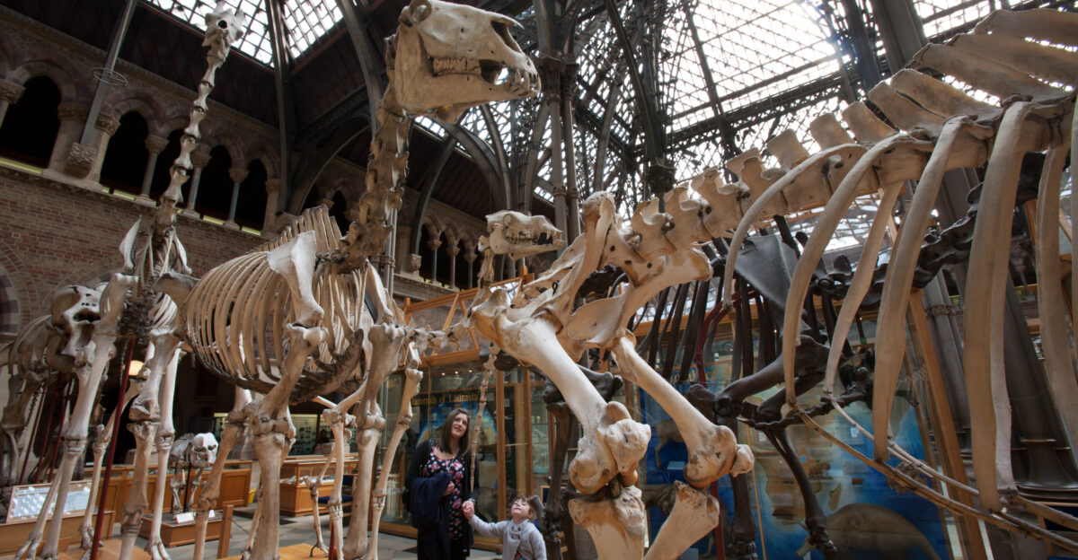 Oxford University Museum of Natural History Oxford UK
