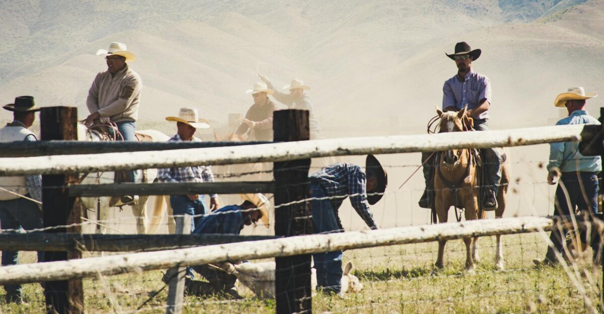 Rural landscape with cowboys on horseback wrangling cattle in a dusty field