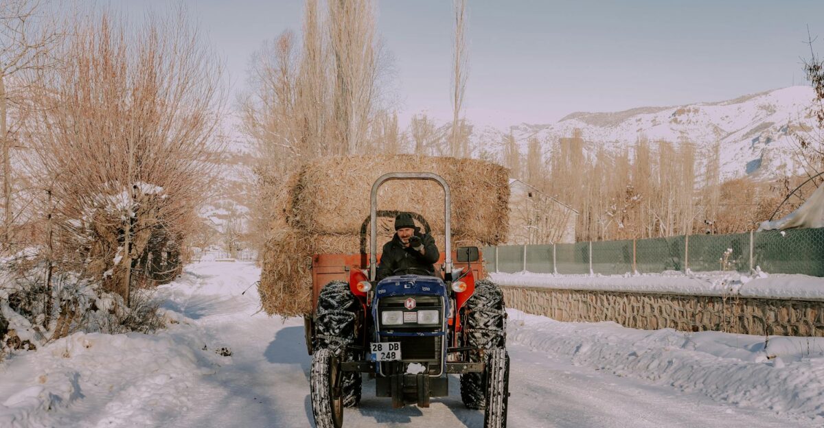 A tractor carrying hay bales drives through a snowy farm landscape in winter
