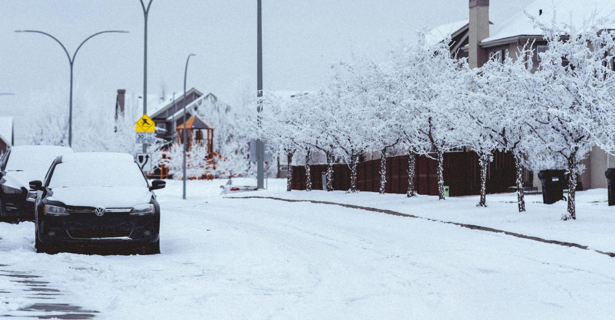 A serene snowy street scene with parked cars and frosted trees in winter.