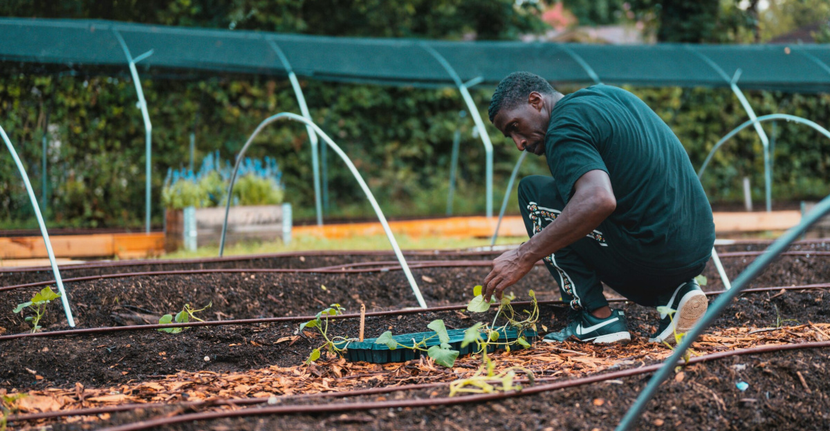 Man tending to seedlings in an urban garden in Dallas, Texas.