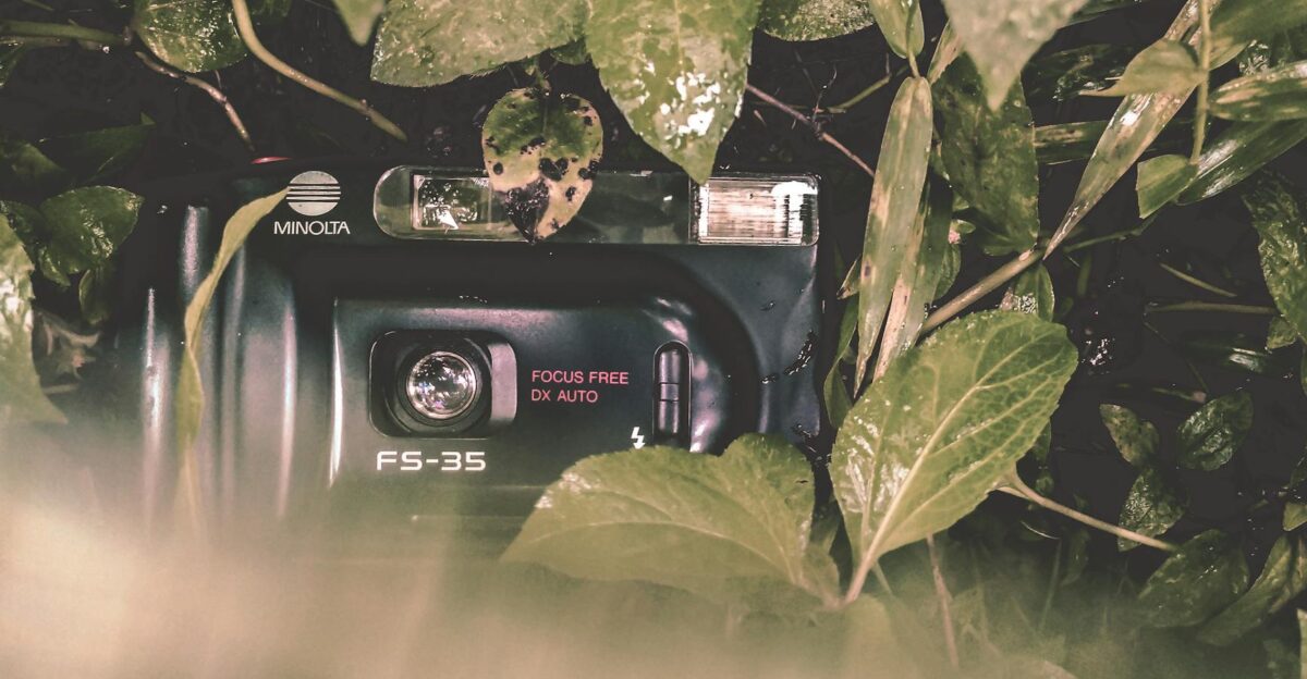 A vintage Minolta camera partially covered by vibrant green leaves evoking a sense of mystery and nostalgia