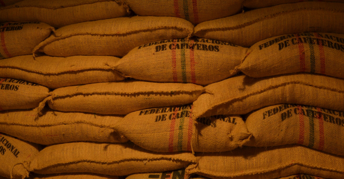 Rows of coffee bean sacks from Federación Nacional de Cafeteros in a Colombian warehouse