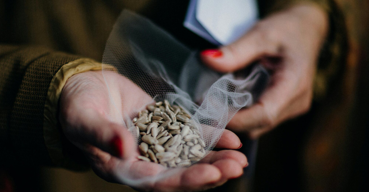 Hands holding sunflower seeds in a small net bag, perfect for snacking or planting.