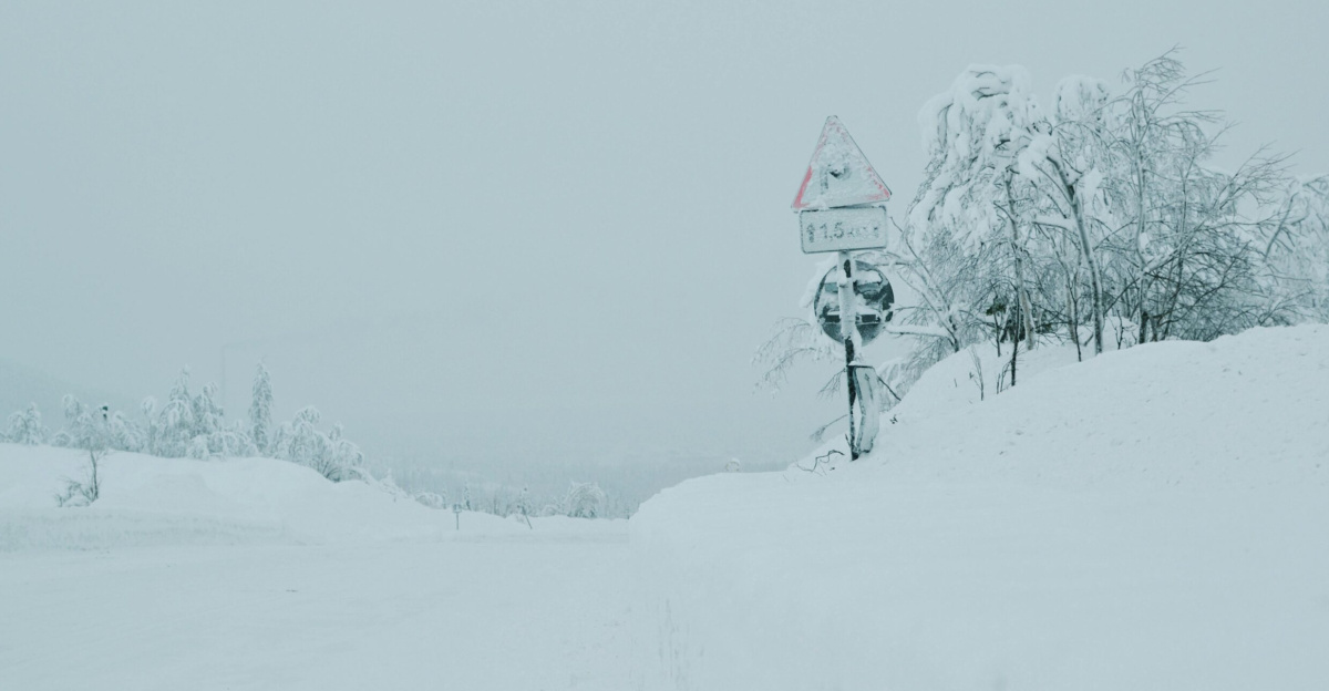 A snowy road during winter with snow-laden trees and a road sign.