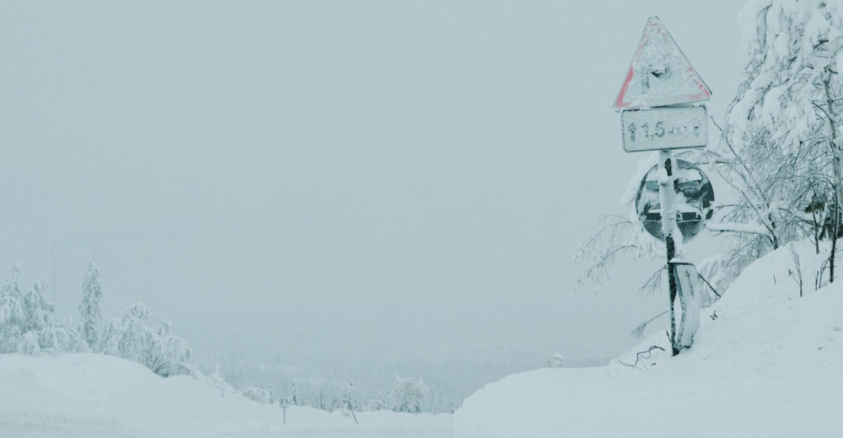 A snowy road during winter with snow-laden trees and a road sign.