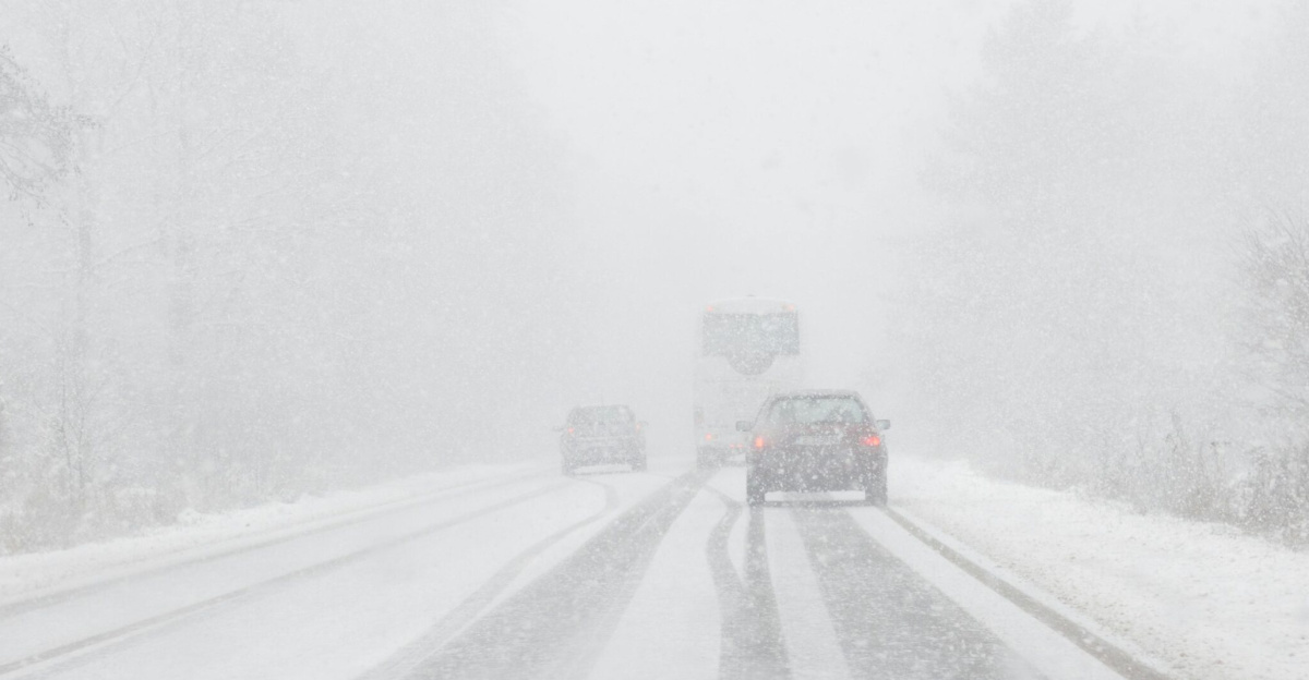Heavy snowfall covers a road surrounded by a winter forest, with cars navigating the snowy conditions.