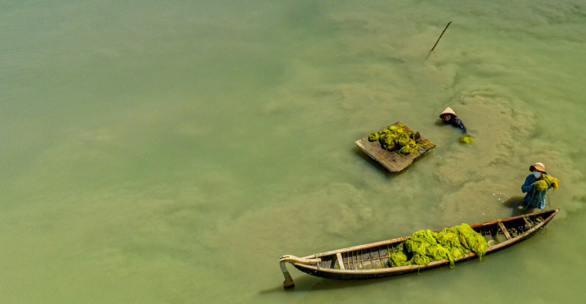 Aerial view of Vietnamese aquaculture with farmers working in a boat and water. Serene scene of water cultivation.