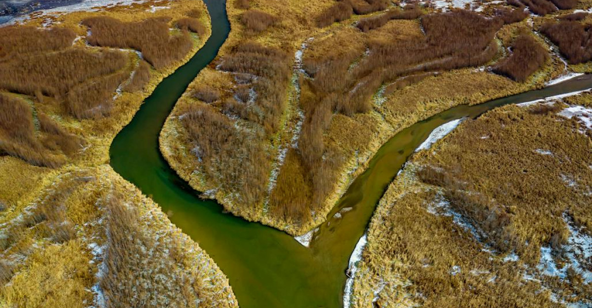 Stunning aerial view of a river delta winding through a natural landscape in Altura Minnesota