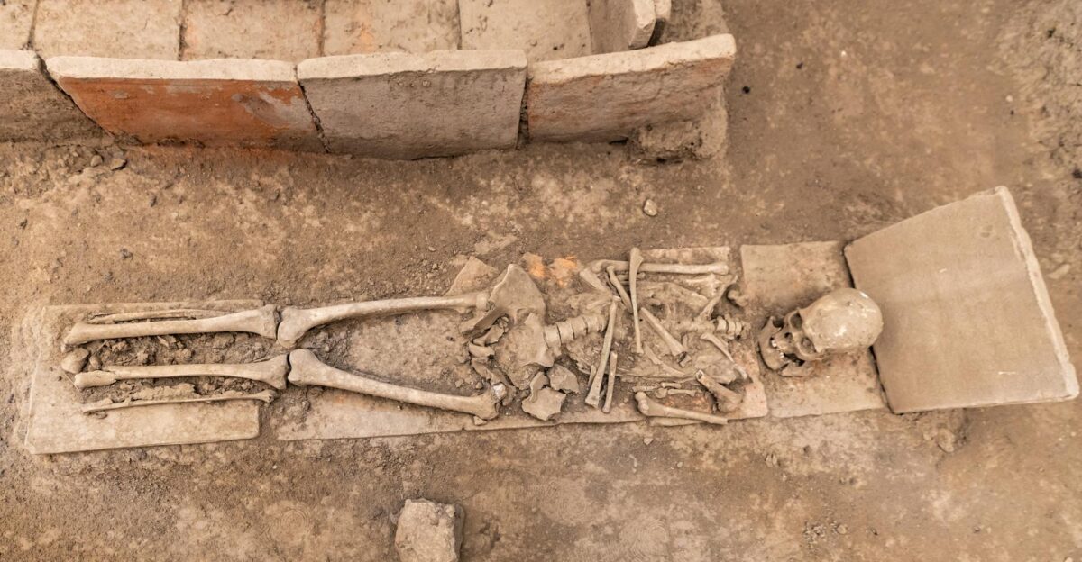 Unearthed ancient Roman skeleton at Viminacium Serbia archaeological site