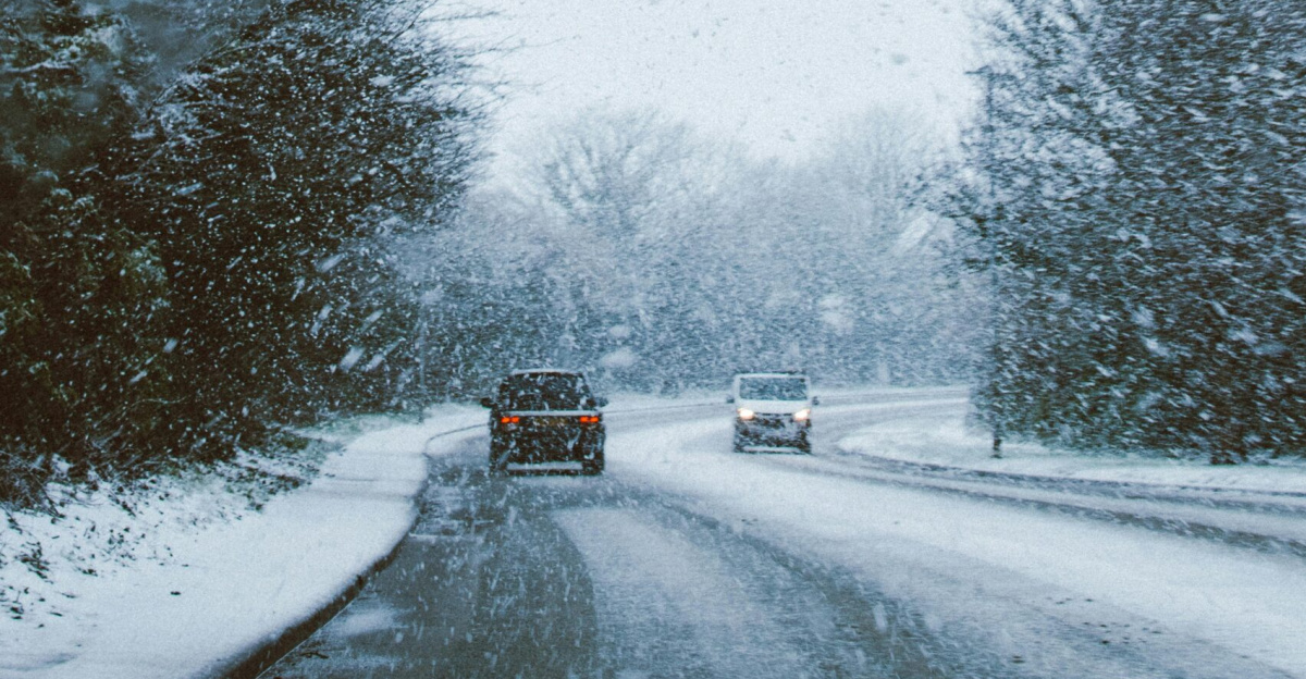 A scenic winter road with cars driving through a snowstorm, surrounded by frosty trees.