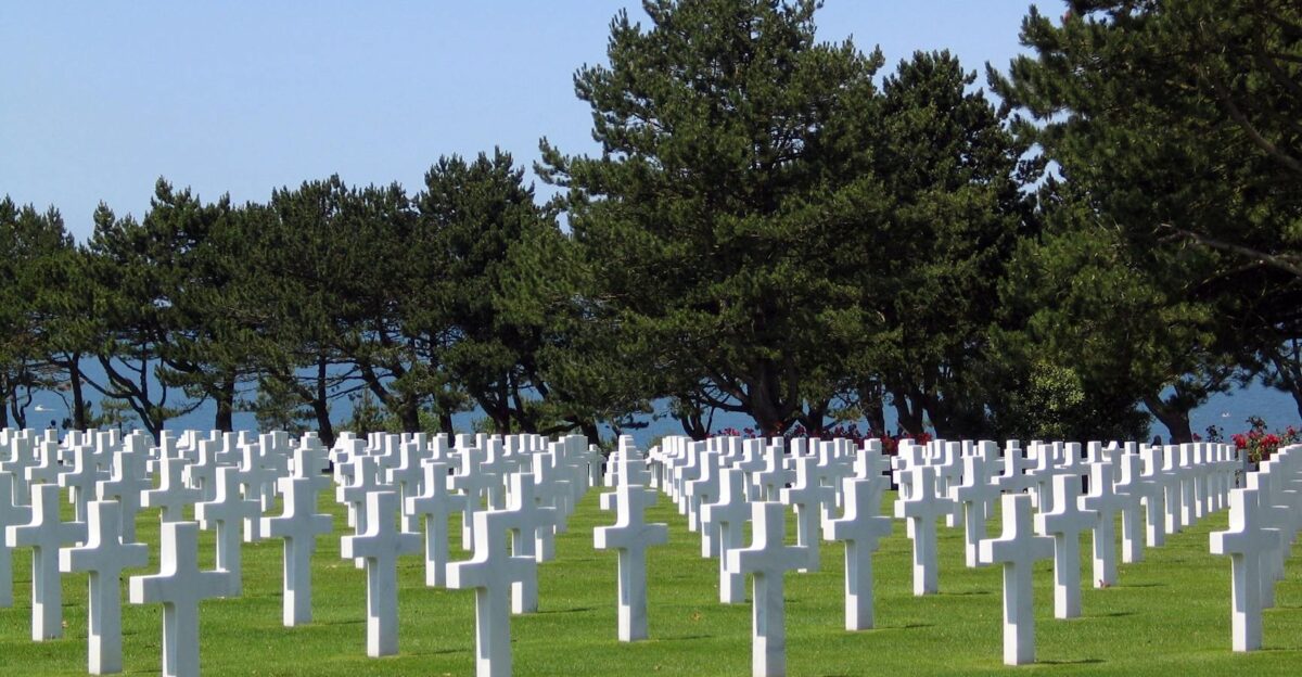 Rows of white crosses in a military cemetery symbolizing remembrance and honor
