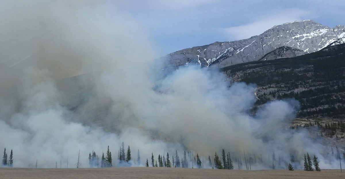 Capture of a forest fire with smoke rising against a mountain backdrop in a scenic natural landscape.