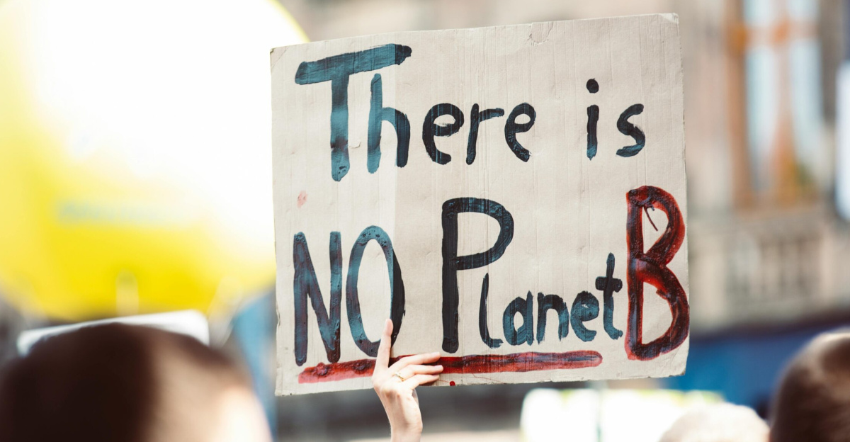 Protest sign at climate change rally reading 'There is no Planet B'.