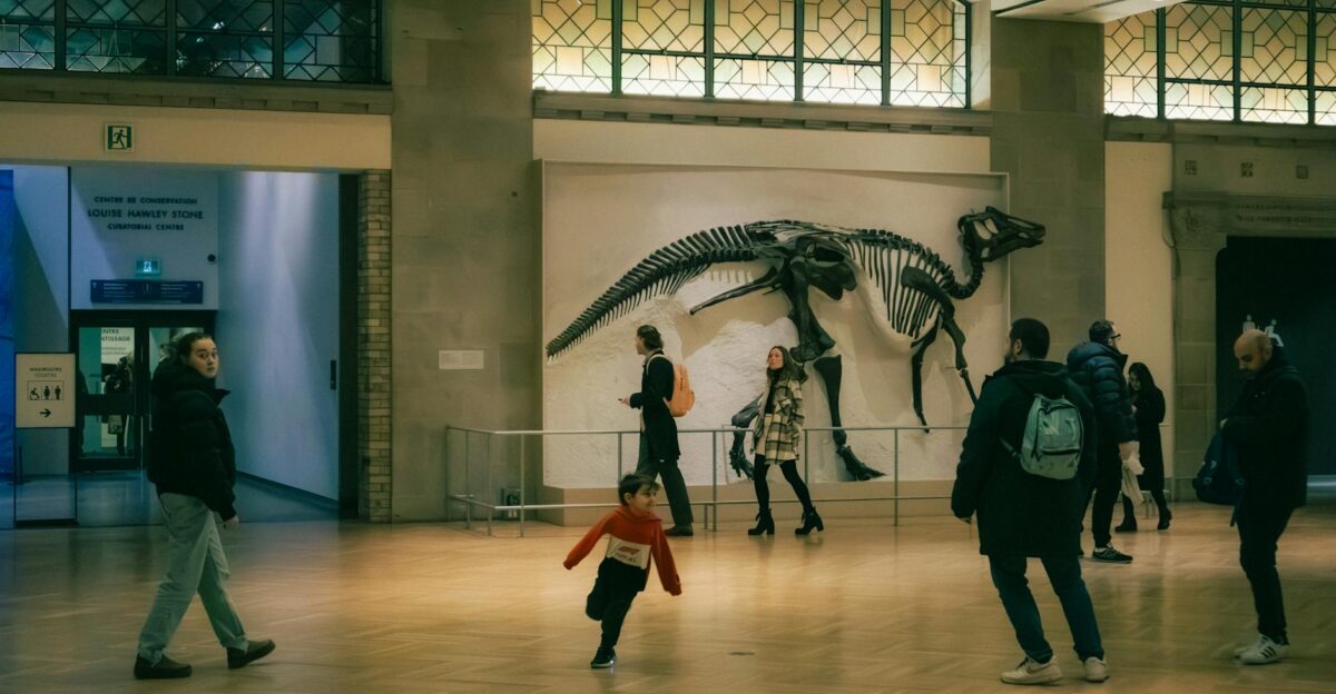 People exploring a dinosaur exhibit inside a Toronto museum showcasing fossils and history