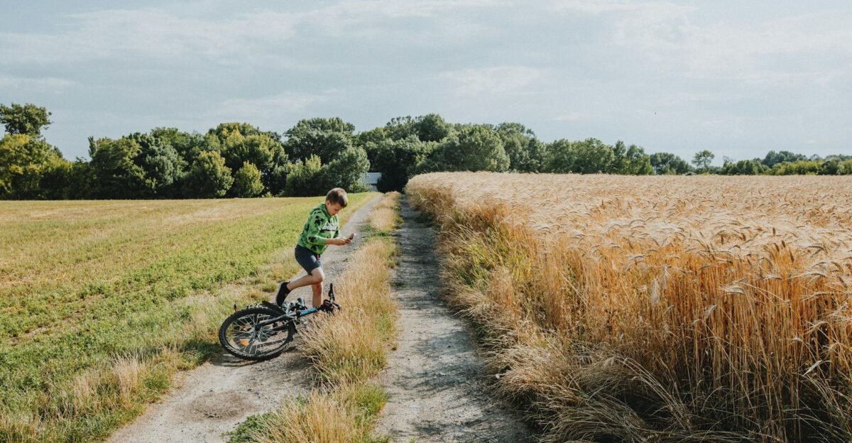 A young boy falls off his bike on a rural path amidst fields in summertime