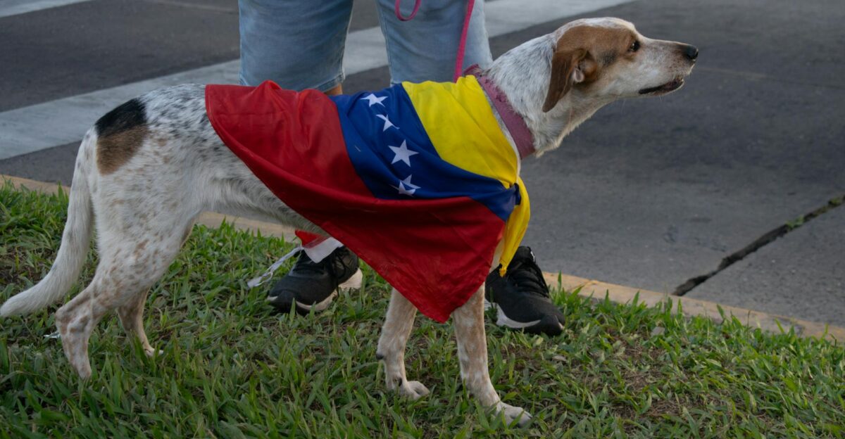 Free stock photo of comemora o jornalism liberdade