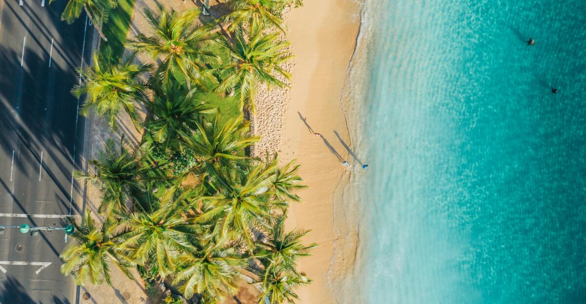 A scenic aerial view of a sandy beach palm trees and turquoise ocean waters