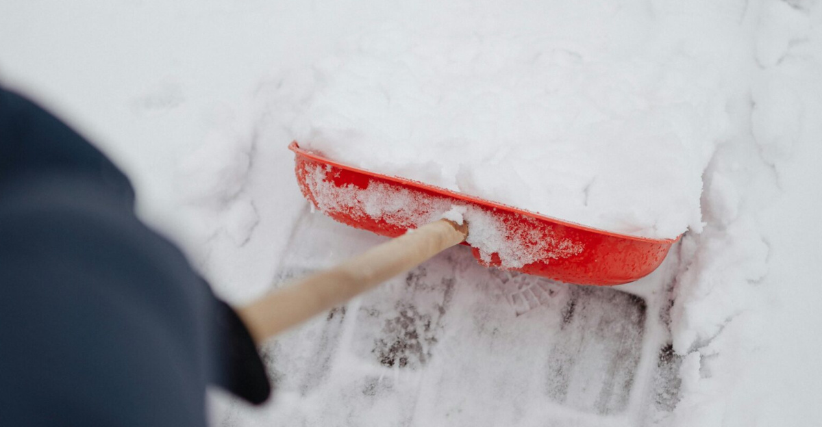 Person shoveling snow from a cobblestone sidewalk with a red shovel in winter.