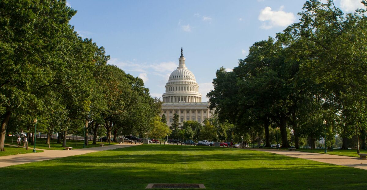 The iconic United States Capitol dome framed by lush green trees on a sunny day