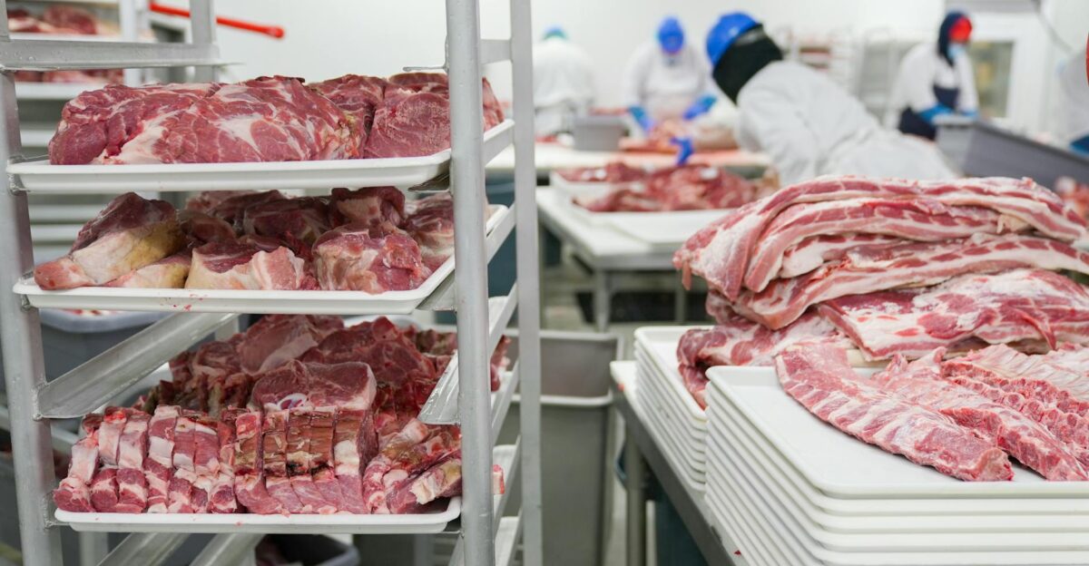 A meat processing facility with workers handling meat cuts on trays demonstrating industrial food production