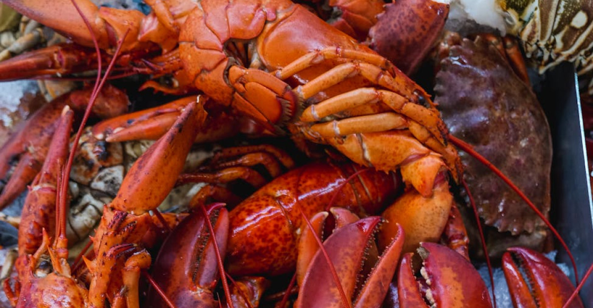 Bright and vivid seafood assortment featuring fresh lobsters and crabs