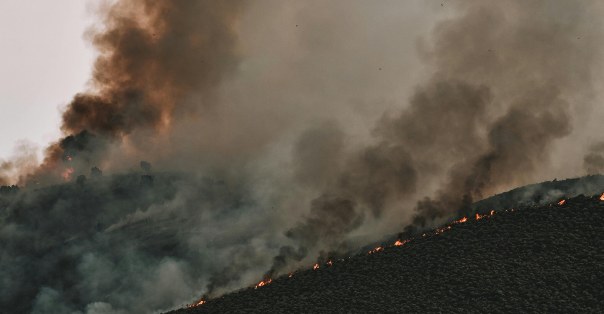 Intense forest fire spreading across a mountainside with thick smoke billowing into the sky.