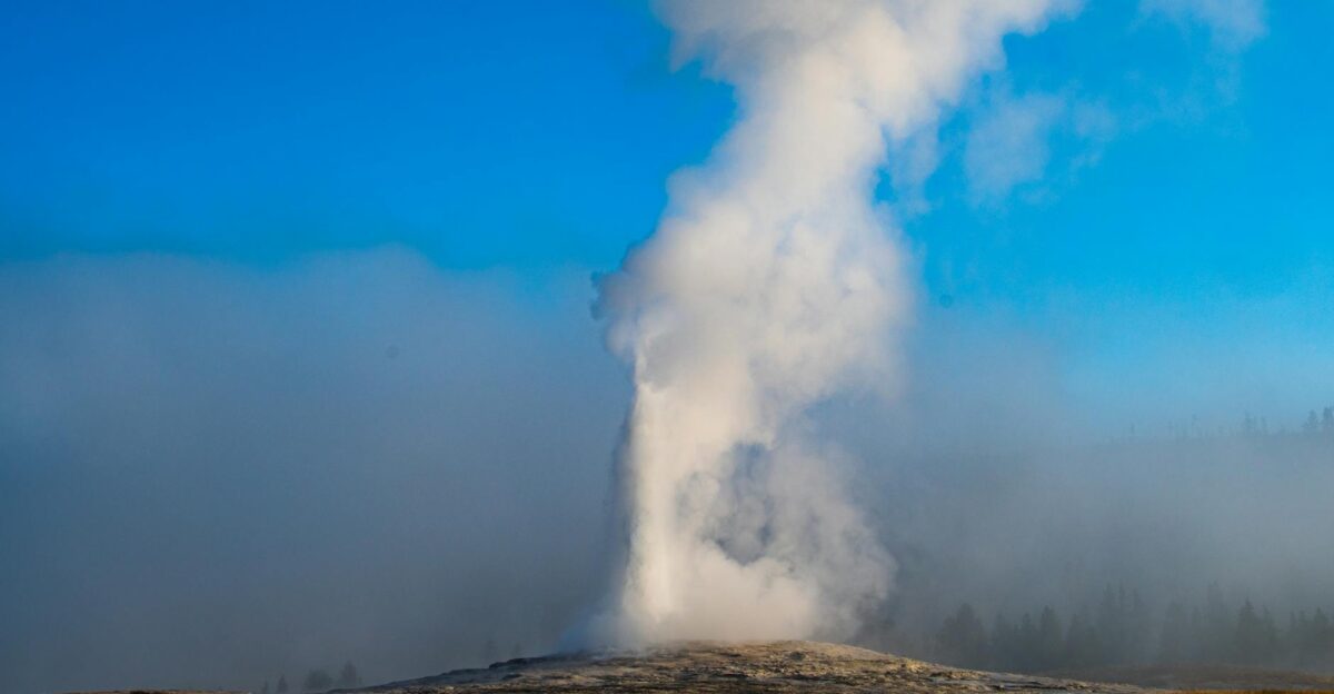 A dramatic eruption of Old Faithful geyser in Yellowstone enveloped by steam against a bright blue sky