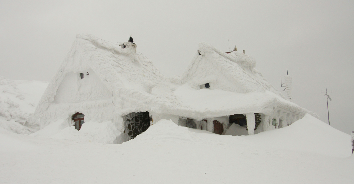 house covered in snow