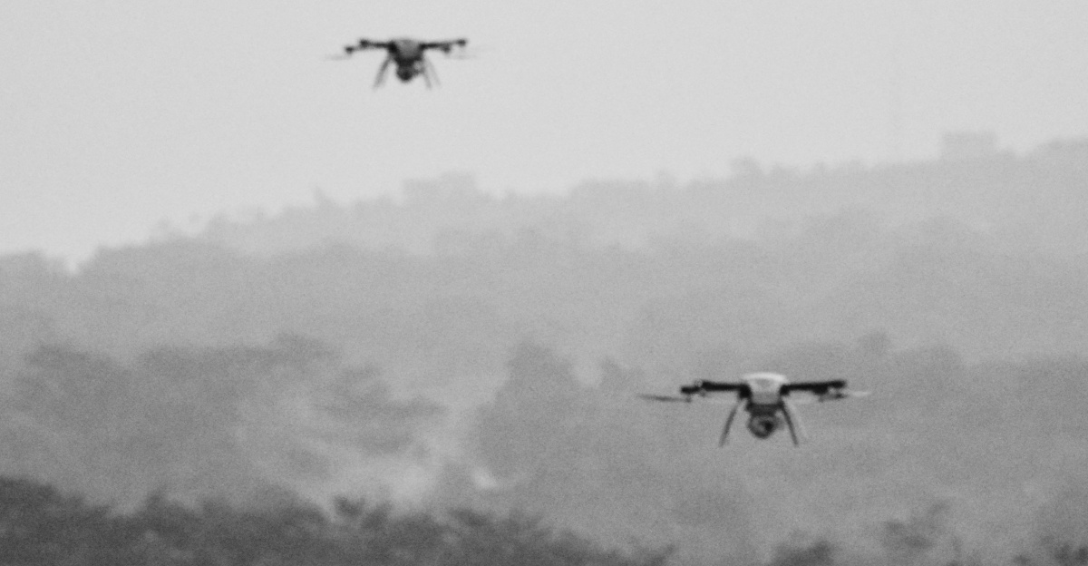 birds flying over the field