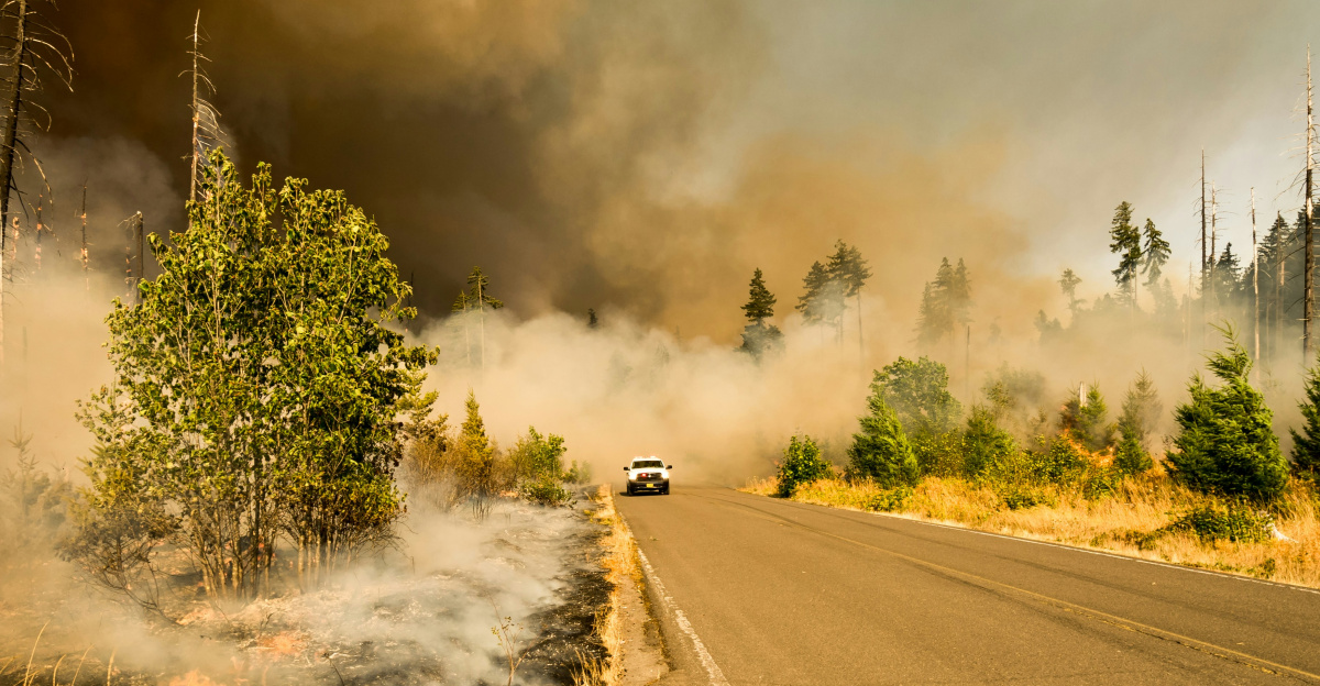 white vehicle near tall tree at cloudy sky during daytime