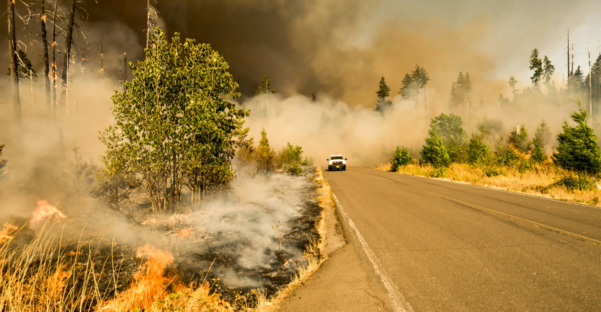 white vehicle near tall tree at cloudy sky during daytime
